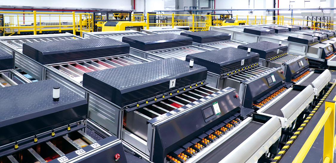 首页-WM视讯厅真人官方网站