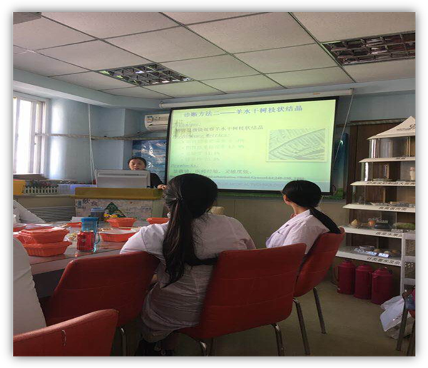 F6福鹿会_官方网站app下载