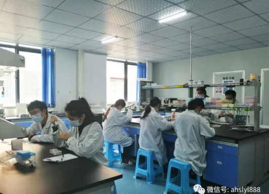 F6福鹿会同心协力不辜负每一份信任