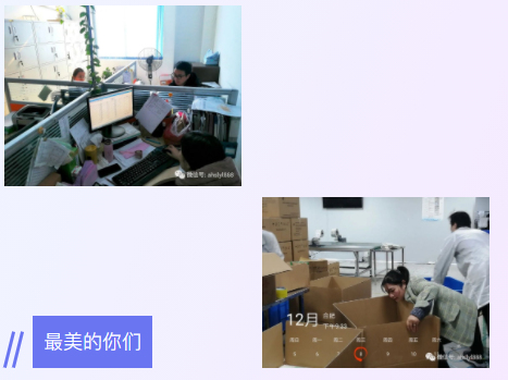 F6福鹿会同心协力不辜负每一份信任